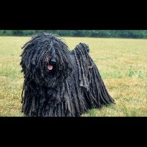 Meet your Posher, Matthew